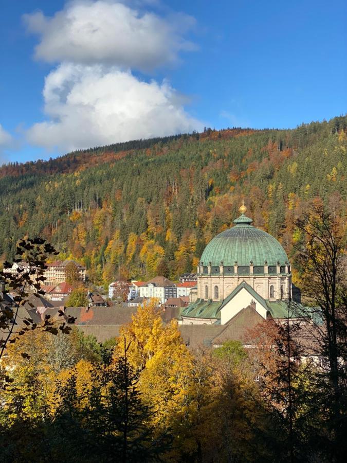 No 19 In The Black Forest سانت بلاسين المظهر الخارجي الصورة