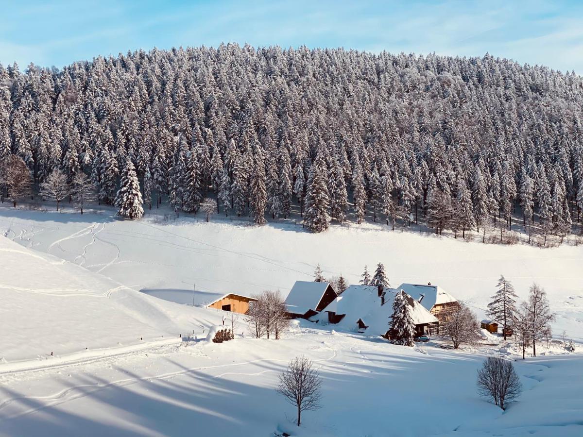 No 19 In The Black Forest سانت بلاسين المظهر الخارجي الصورة